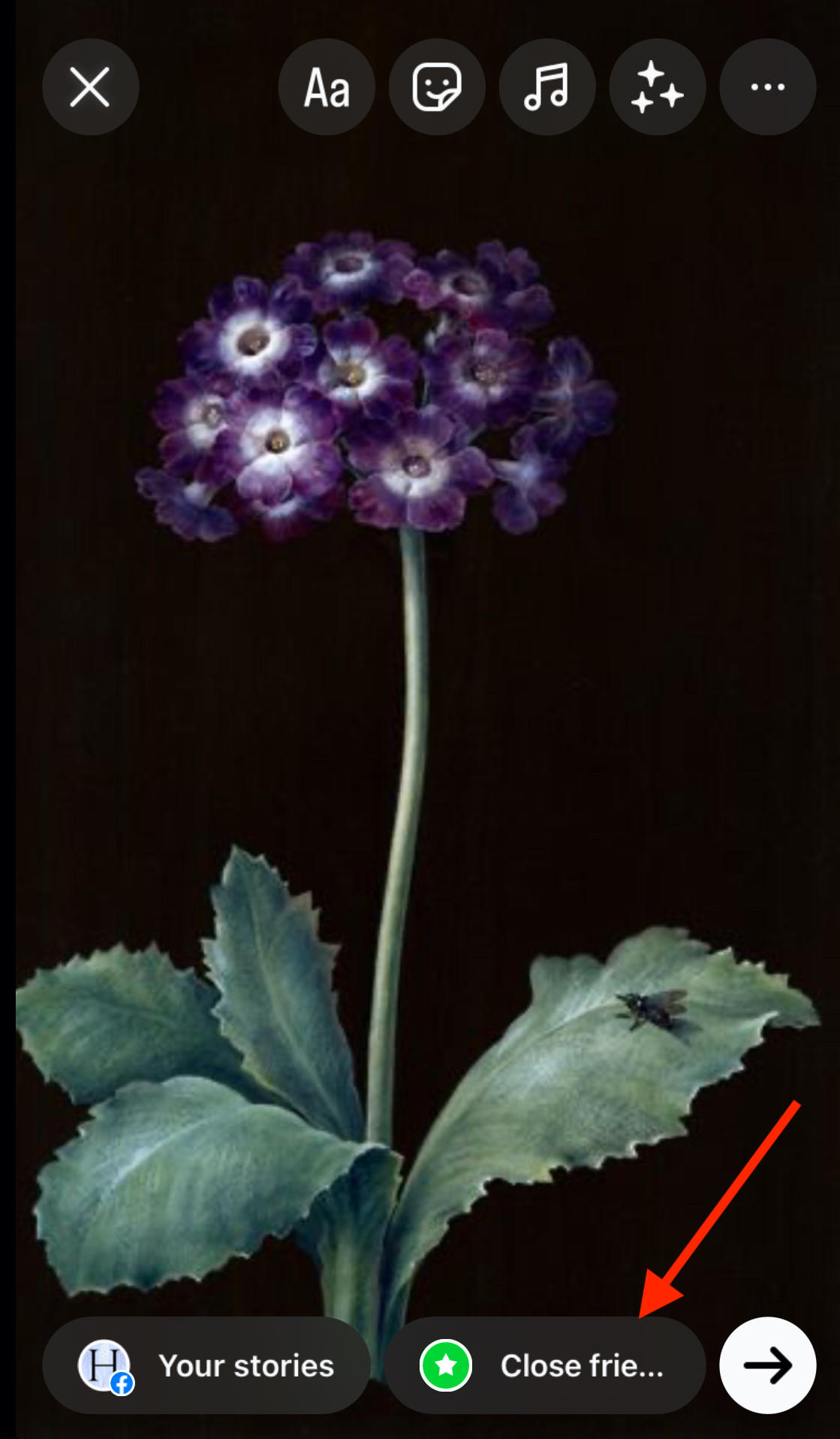 How To Hide Highlights On Instagram Without Deleting Them 2024 Guide